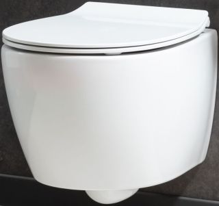 Крышка-сиденье ALLEN BRAU Fantasy 4.11005.20 с микролифтом